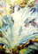 #XXVII &laquo;The Birth of Venus&raquo;